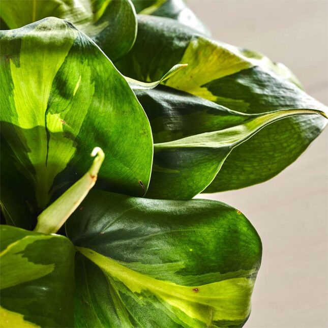 szkalrnia1k_0165_0417SZKLARNIA 165 szkalrnia1k_0165_0417SZKLARNIA 165