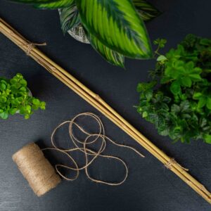 tyczka-bambusowa