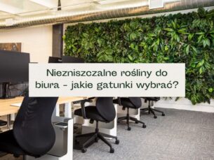 Biuro pełne zielonych roślin