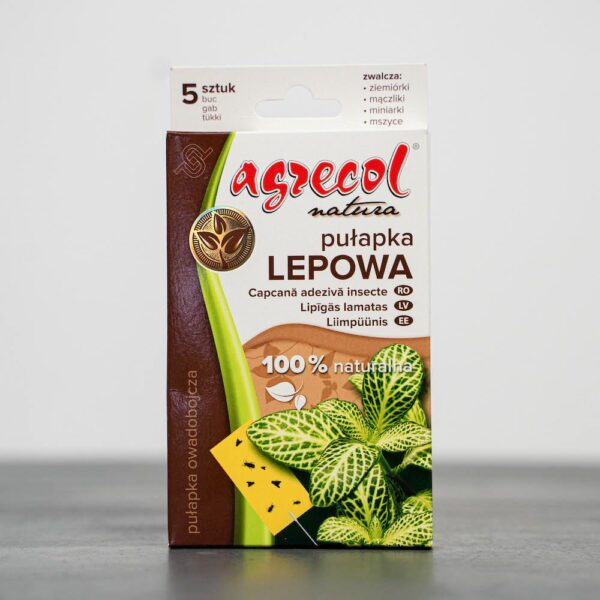 pulapka-lepowa-na-owady