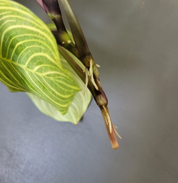 20220429_101226 20220429_101226