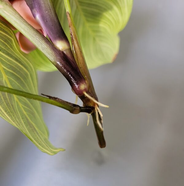 20220429_101238 20220429_101238