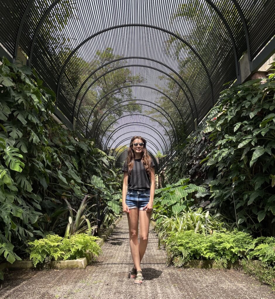 Dziewczyna stojąca w ogrodzie botanicznym pośród filodendronów oraz innych roślin tropikalnych