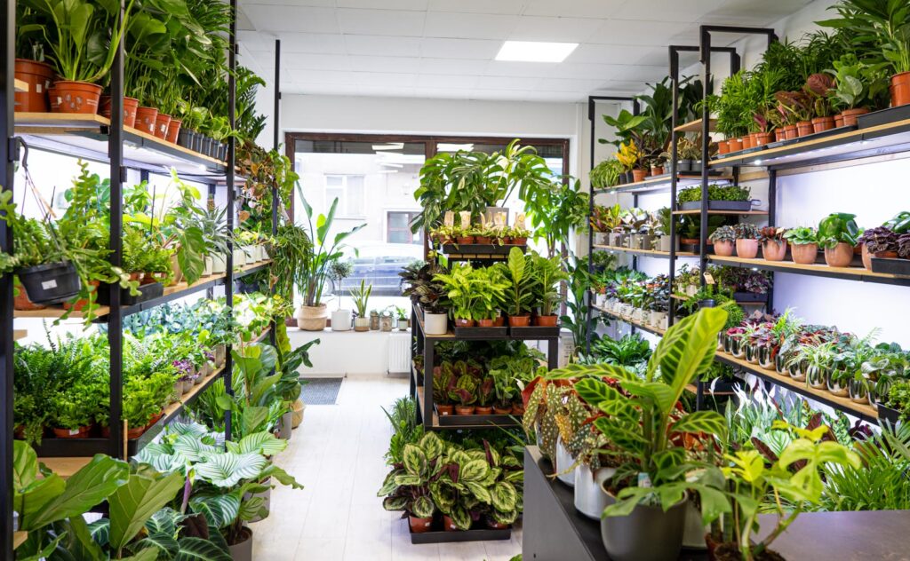 Stacjonarny sklep z roślinami z półkami i regałami wypełnionymi roślinami doniczkowymi