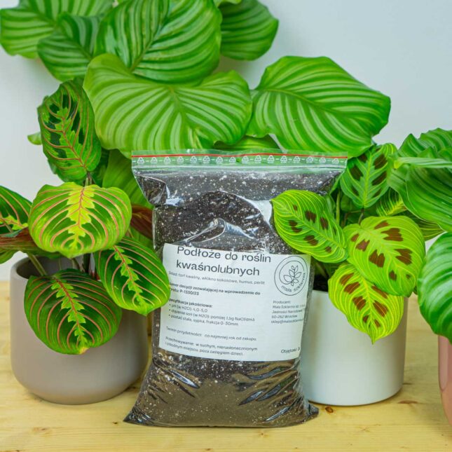Podłoże do roślin kwaśnolubnych 3L – mieszanka do marantowatych (calathea, maranta, stromanthe, ctenanthe)