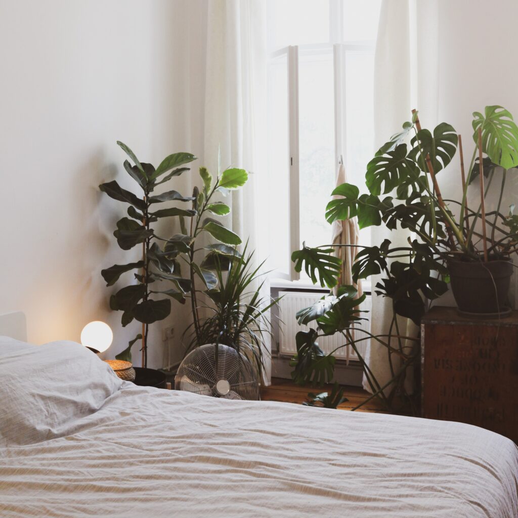 Sypialnia, w której znajdują się rośliny.