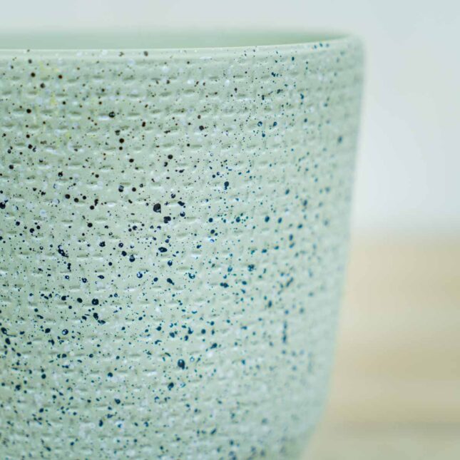 oslonka-mietowa-nakrapiana oslonka-mietowa-nakrapiana