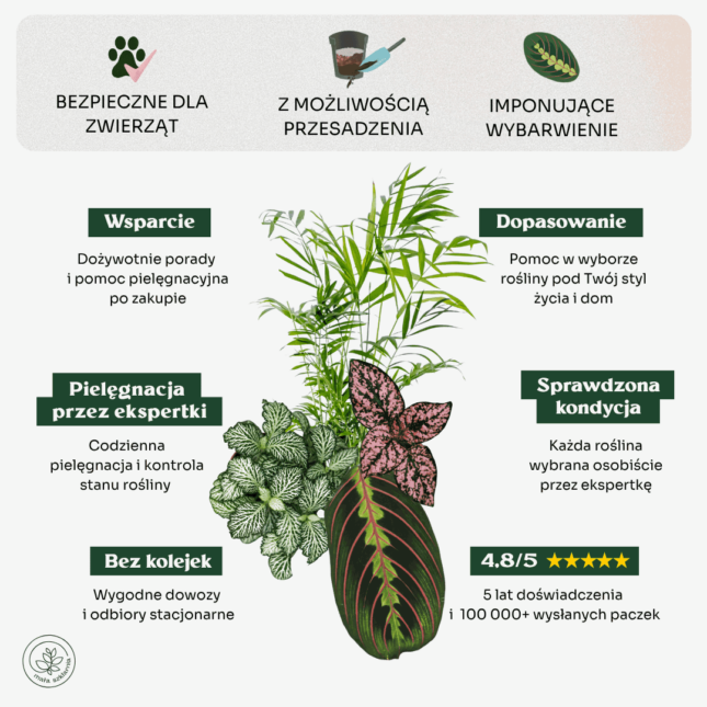 Bezpieczne_dla_zwierzat_min Bezpieczne_dla_zwierzat_min