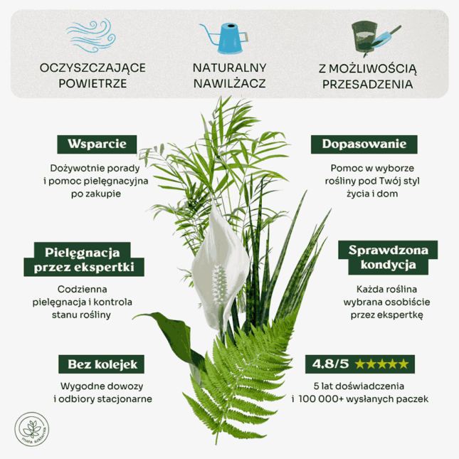 Oczyszczajace_min Oczyszczajace_min