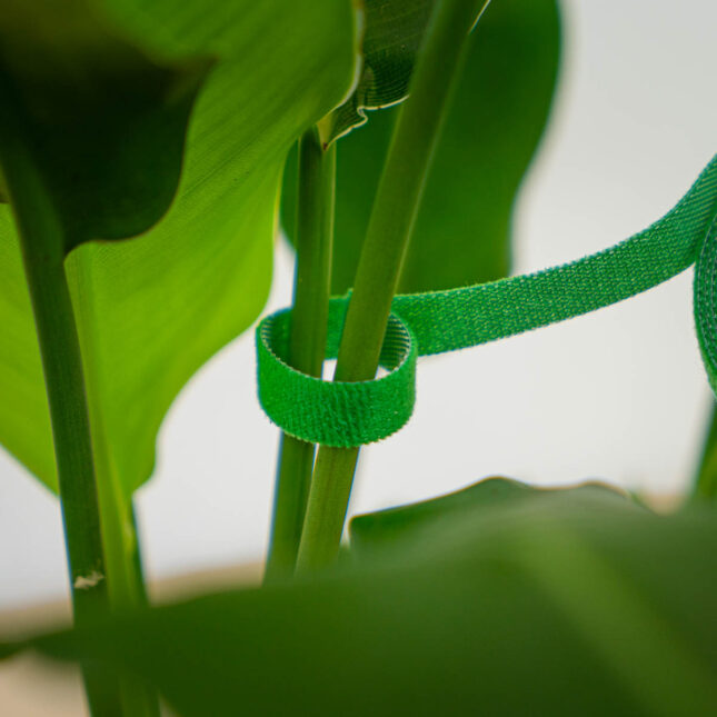 tasma-rzepowa-do-podpinania-roslin tasma-rzepowa-do-podpinania-roslin