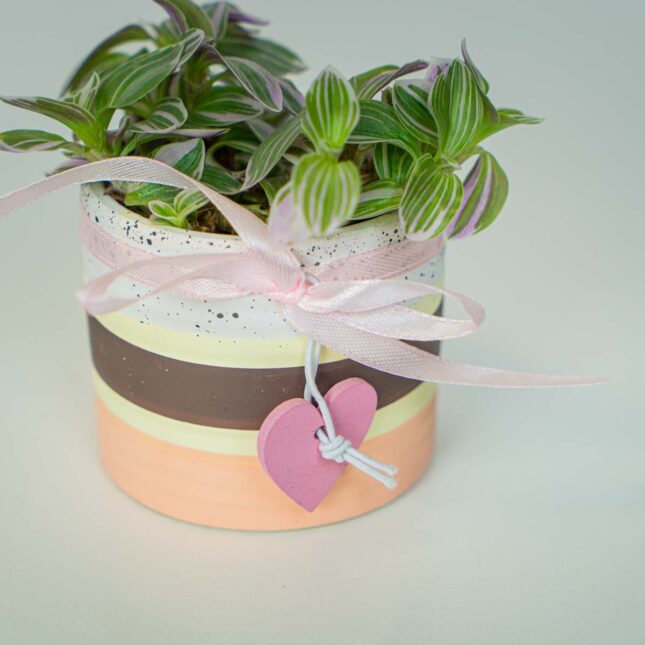 Mała Szklarnia Mała Szklarnia