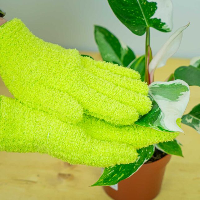 Mała Szklarnia Mała Szklarnia