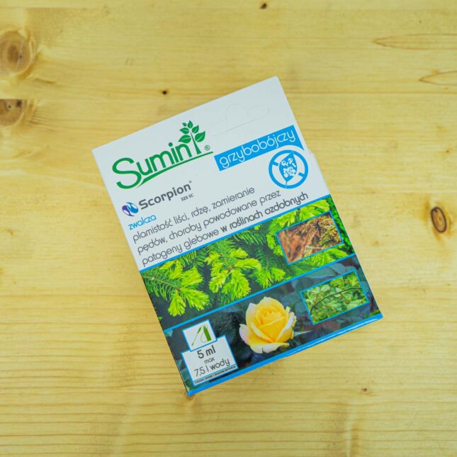 Mała Szklarnia Mała Szklarnia