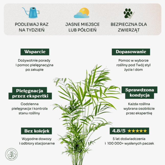 Chamedora-min Chamedora-min