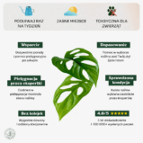 Monstera monkey mask-min
