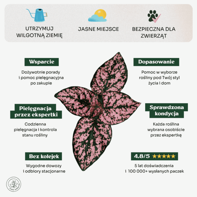 Niedośpian-min Niedośpian-min