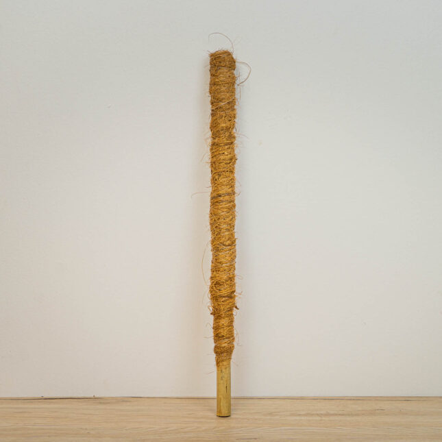 Mała Szklarnia Mała Szklarnia