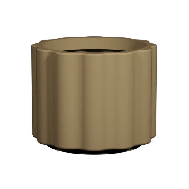 BELTO Natural Ginger-1746830337763 BELTO Natural Ginger