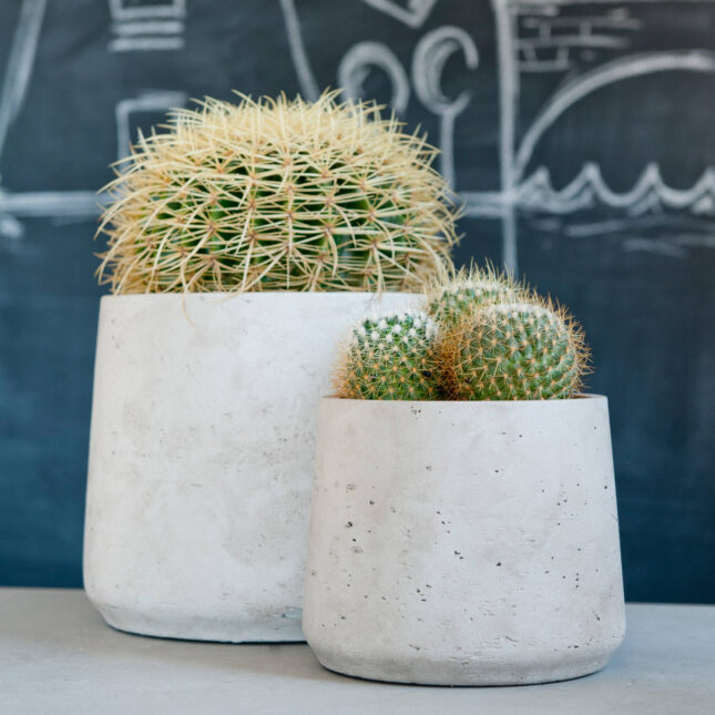 8718969800426b 8718969800426b