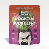 COCKTUS & SUCKULENT - beztorfowe podłoże do kaktusów i sukulentów