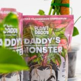 daddy-monster_sm-05-kopia-600x900