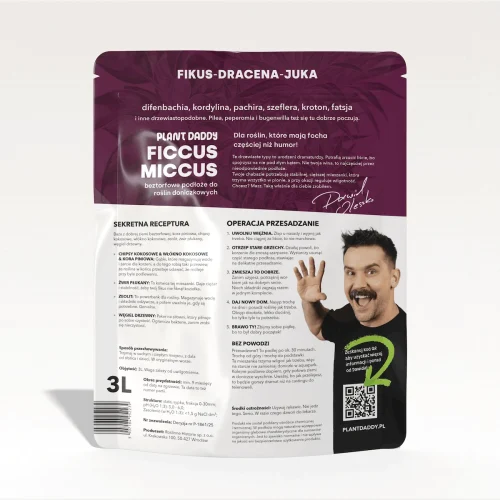 ficcus-back-500x500 ficcus-back-500x500