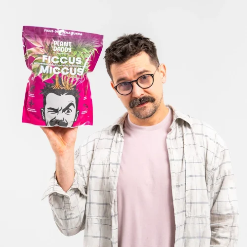 ficcus4-kopia-500x500 ficcus4-kopia-500x500