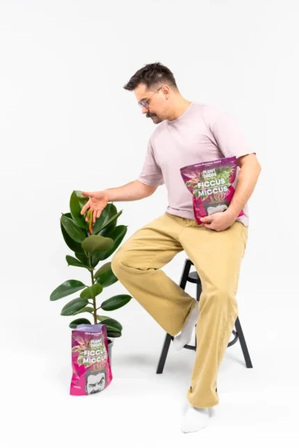 ficcus6-600x900 ficcus6-600x900