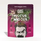 FICCUS-MICCUS - beztorfowe podłoże do roślin