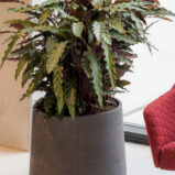 pottery-pots-rough-patt-7