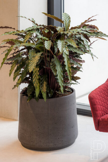 pottery-pots-rough-patt-7 pottery-pots-rough-patt-7