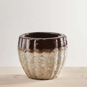 Osłonka biało brązowa 2tone melon brown